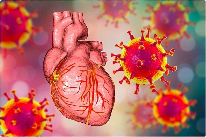 옥스퍼드 대, '모더나 화이자' 40세 이하 심근염 발생 위험 높아 How Covid Vaccines Sometimes Impact The Heart- Latest Study