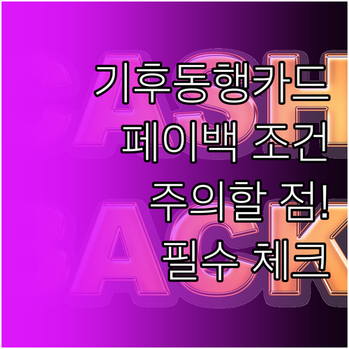기후동행카드 페이백 조건과 주의사항..