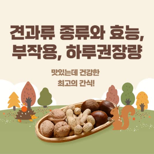 견과류 종류와 효능,부작용,하루권장량: 건강한 간식으로 완벽한 선택!