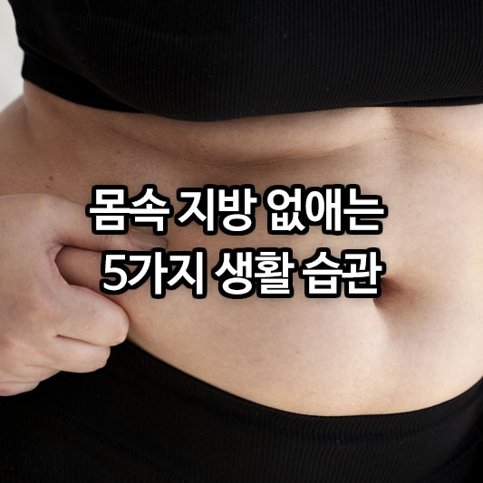 몸속 지방 없애는 5가지 생활 습관
