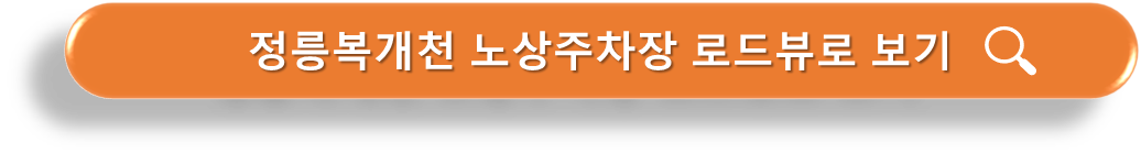 정릉복개천주차장 로드뷰