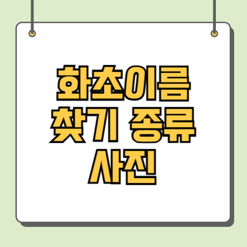 화초이름 찾기 종류 사진