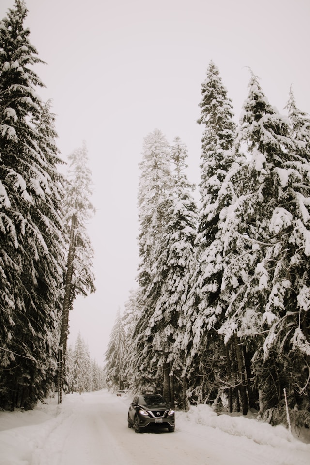 실시간 대설특보 현황 CCTV 확인 완벽 가이드