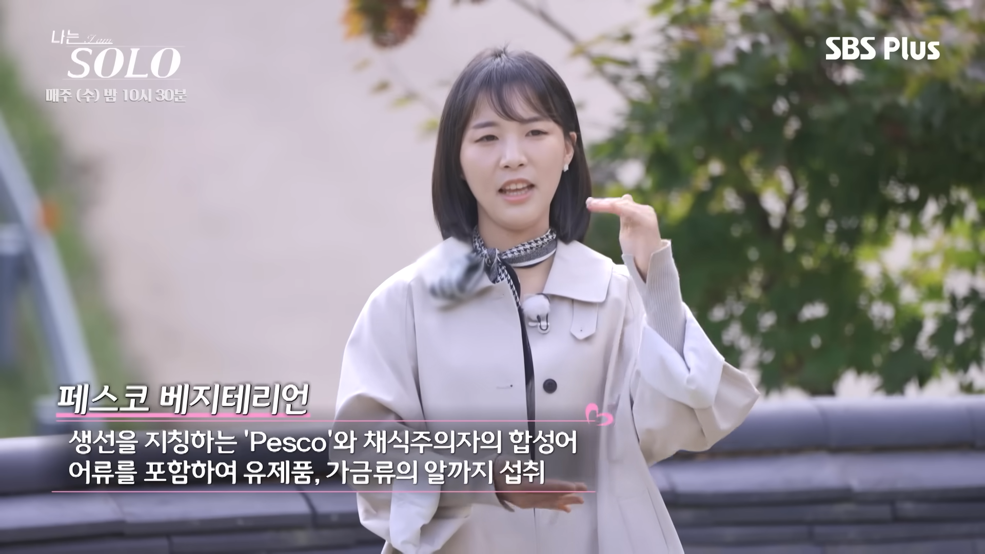 비건 뜻 비건 종류 채식주의자 단계
