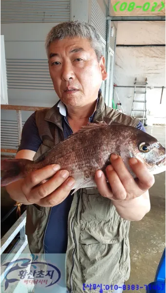 8월 강화도 바다 낚시 어종 소개_32