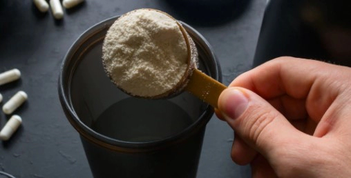 크레아틴 자주 묻는 질문 FAQ