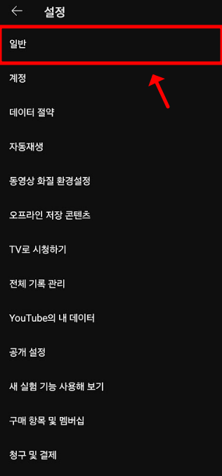일반
