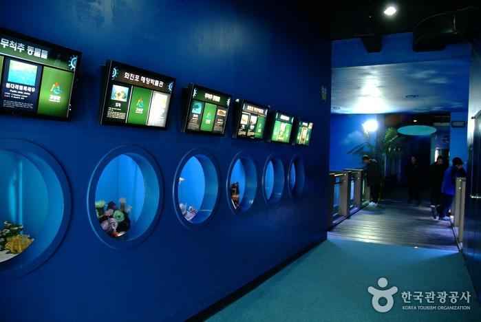 고성 화진포 해양박물관