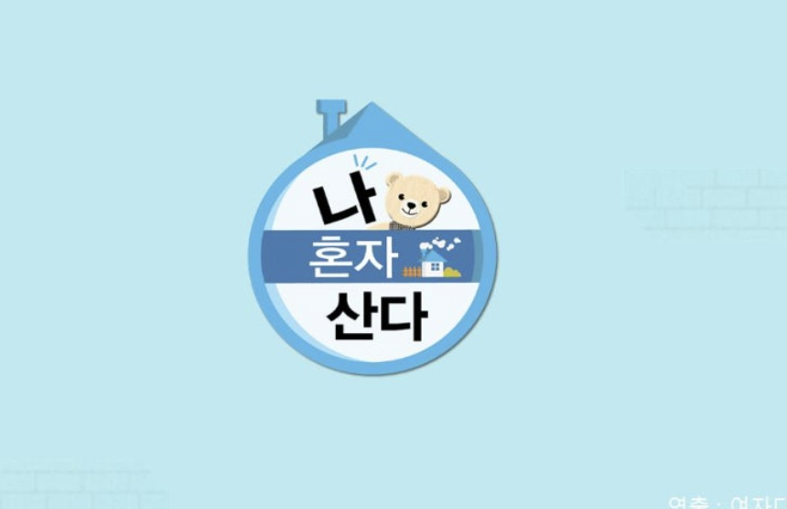 조이 고주파부항 마사지기 가격 및 홈케어기기 총정리 (+ 나혼자산다 591회 기준)