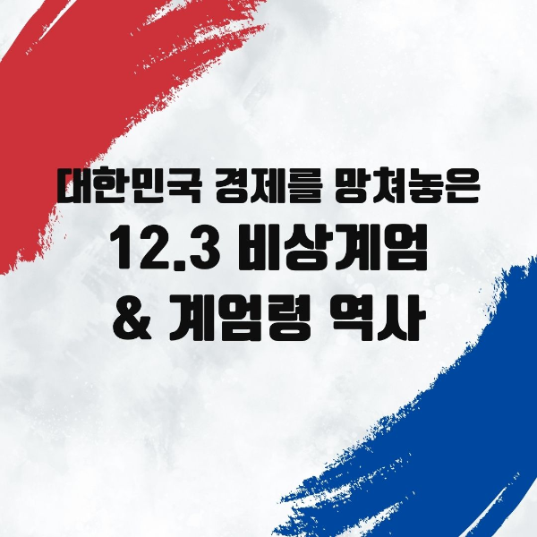 대한민국/경제를/망쳐놓은/대한민국/12.3/비상계엄