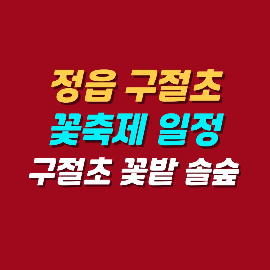 정읍-구절초꽃축제-일정
