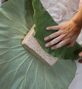 순창토닥토닥