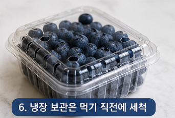 블루베리 세척법 제대로 알고 먹어야 하는 이유, 농약 걱정 줄이는 방법 총정리1