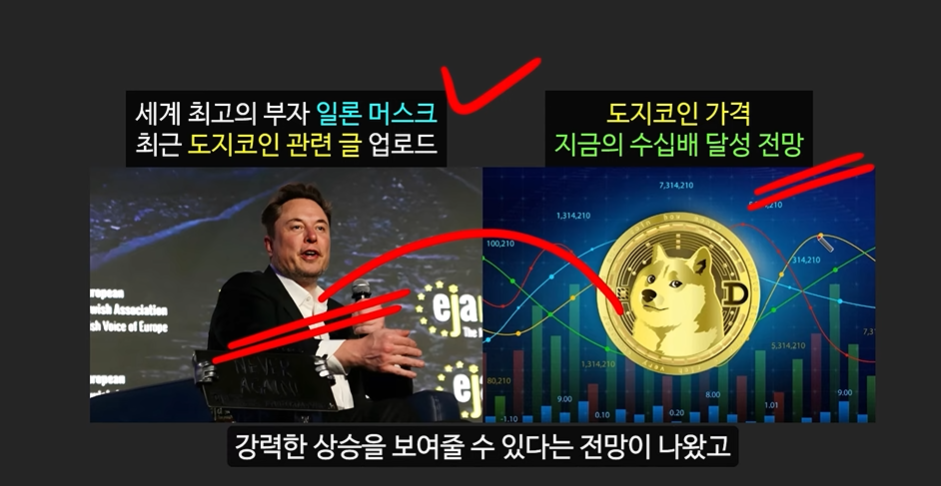 일론 머스크의 충격 발언과 도지코인, 플로키코인, 위프코인, 피넛코인, 프레드 코인의 강력한 상승 가능성 분석