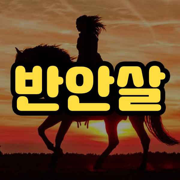 반안살