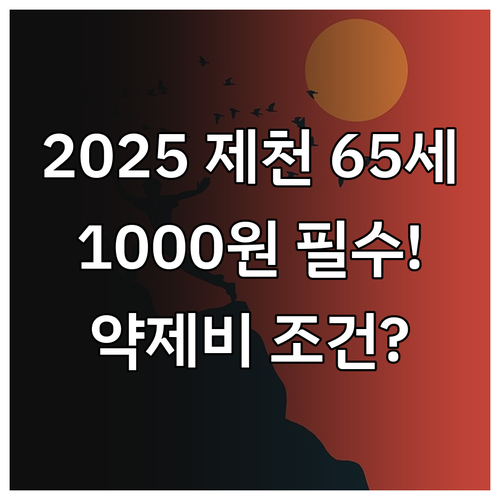 2025년 제천 노인 약제비 지원 6..