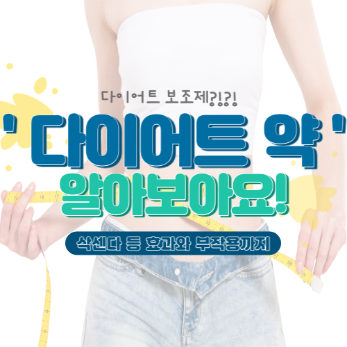 다이어트 보조제
