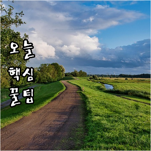 상생페이백 주소 변경 안될 때? 이 ..