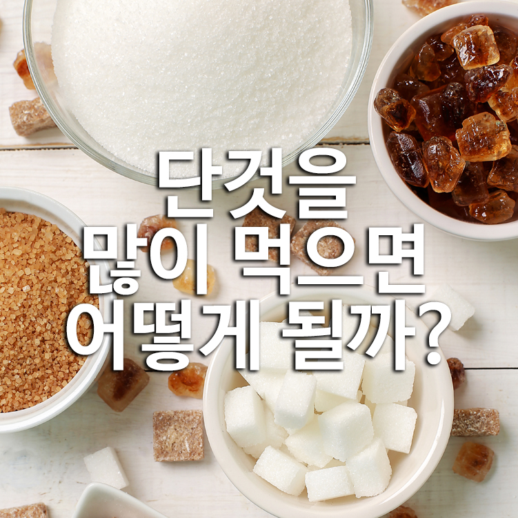 단것을 많이 먹으면 어떻게 될까?
