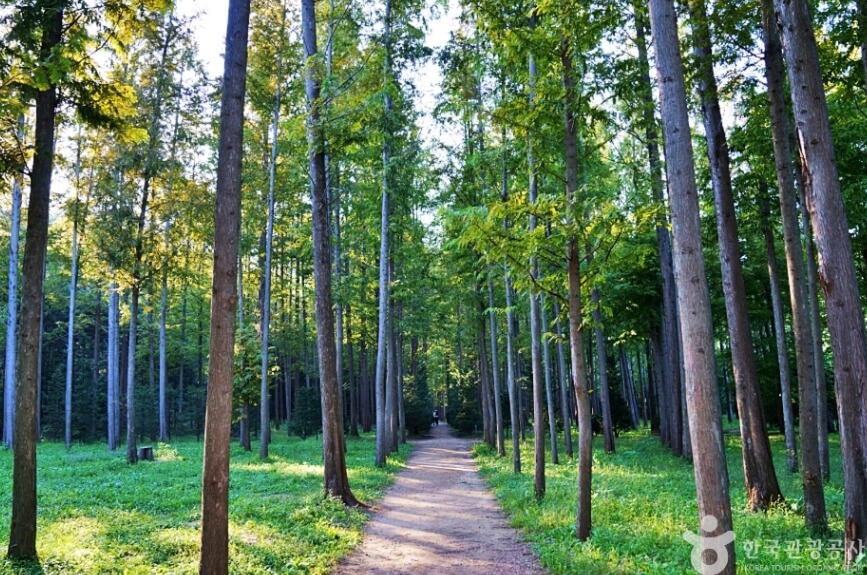 영덕 가볼만한곳 베스트 10