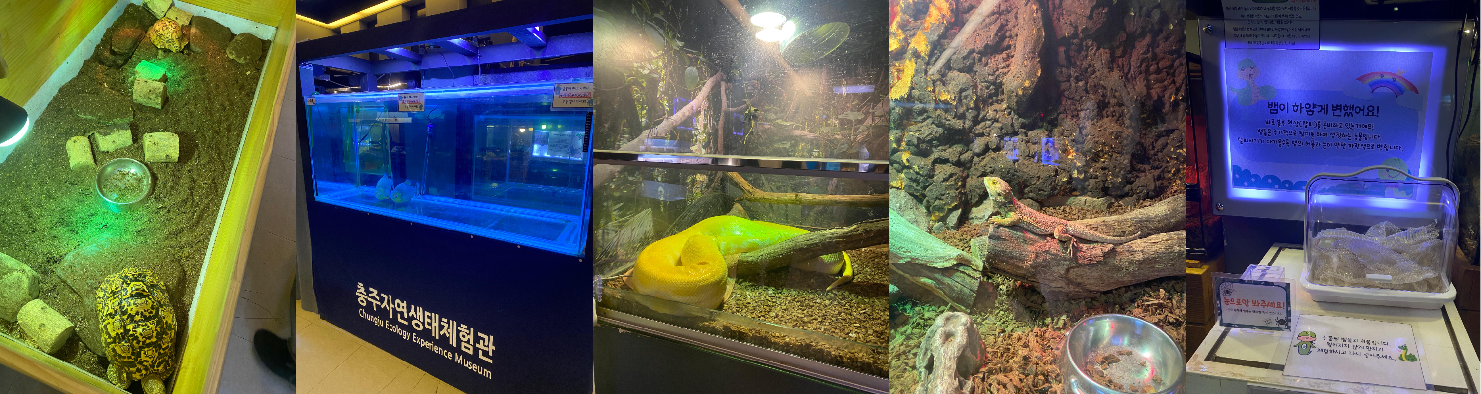 충주 자연 생태 체험관 2층