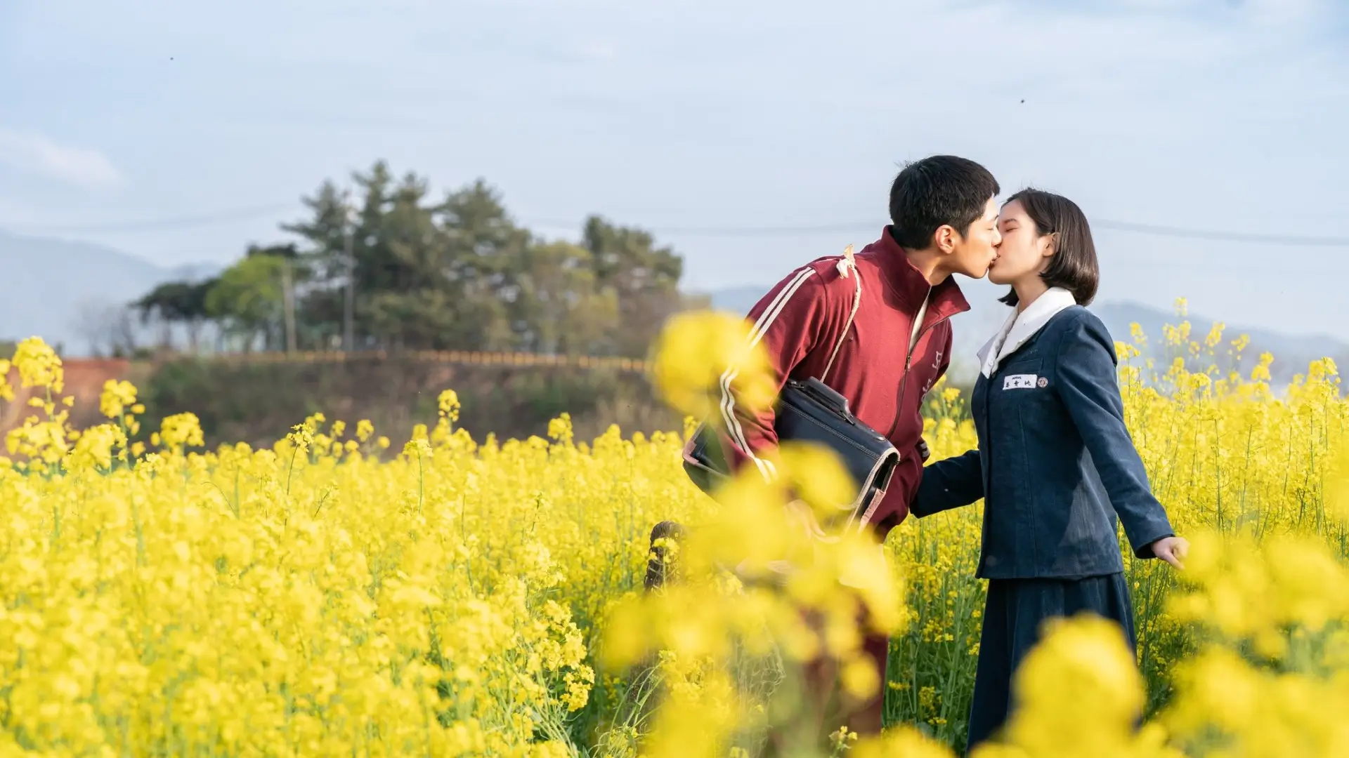 넷플릭스 드라마 폭싹 속았수다