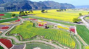 제 19 회 창녕낙동강유채 축제 기본일정과 프로그램 손태진 반가희 김유선 박혜신 하이랑 송자영 출연