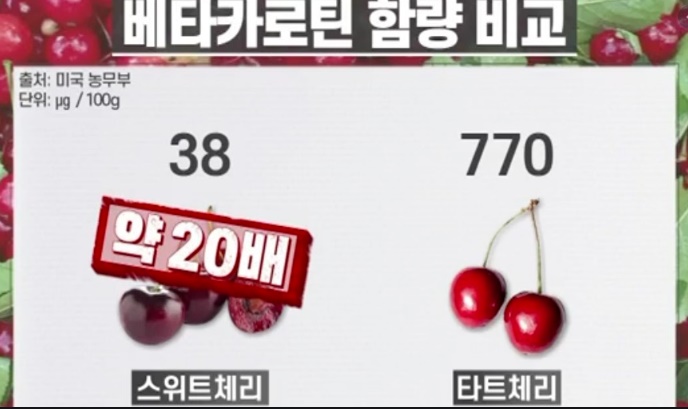 타트체리 베타카로틴 함유량