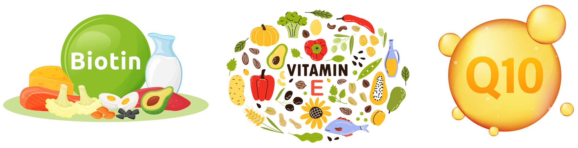동안 유지에 필수 영양소 (비오틴, 비타민E, 코큐텐)