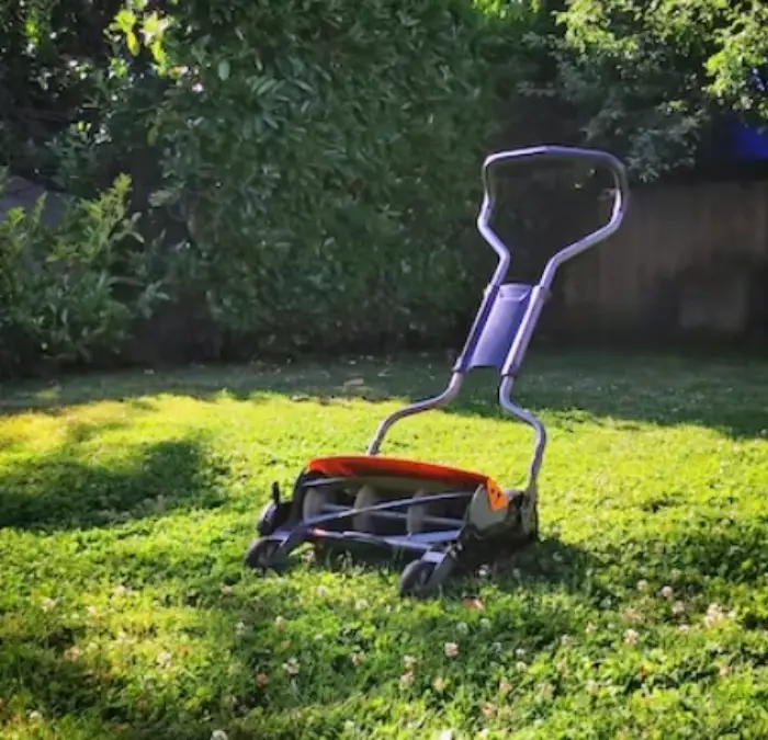 쯔쯔가무시 물린자국