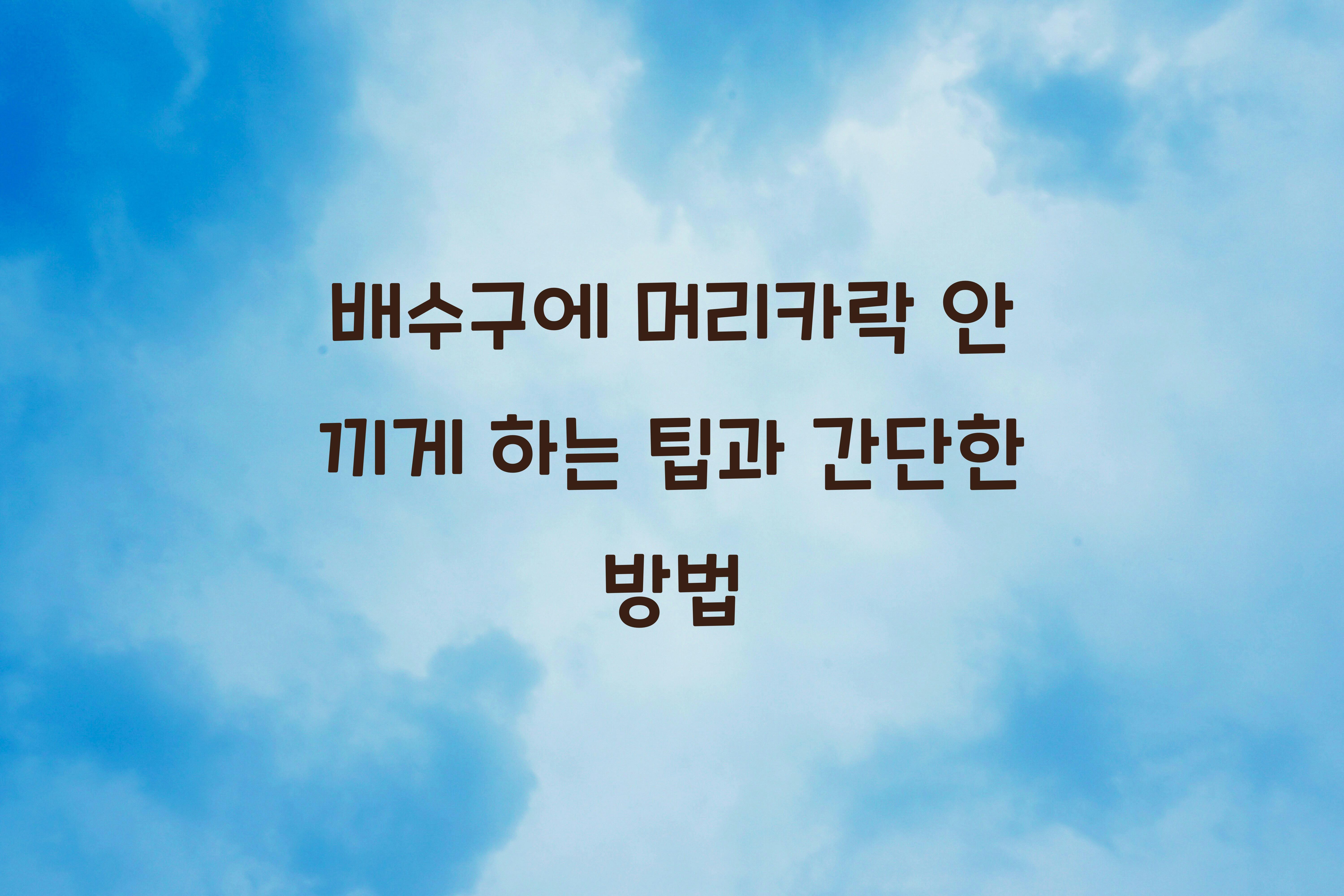 배수구에 머리카락 안 끼게 하는 팁