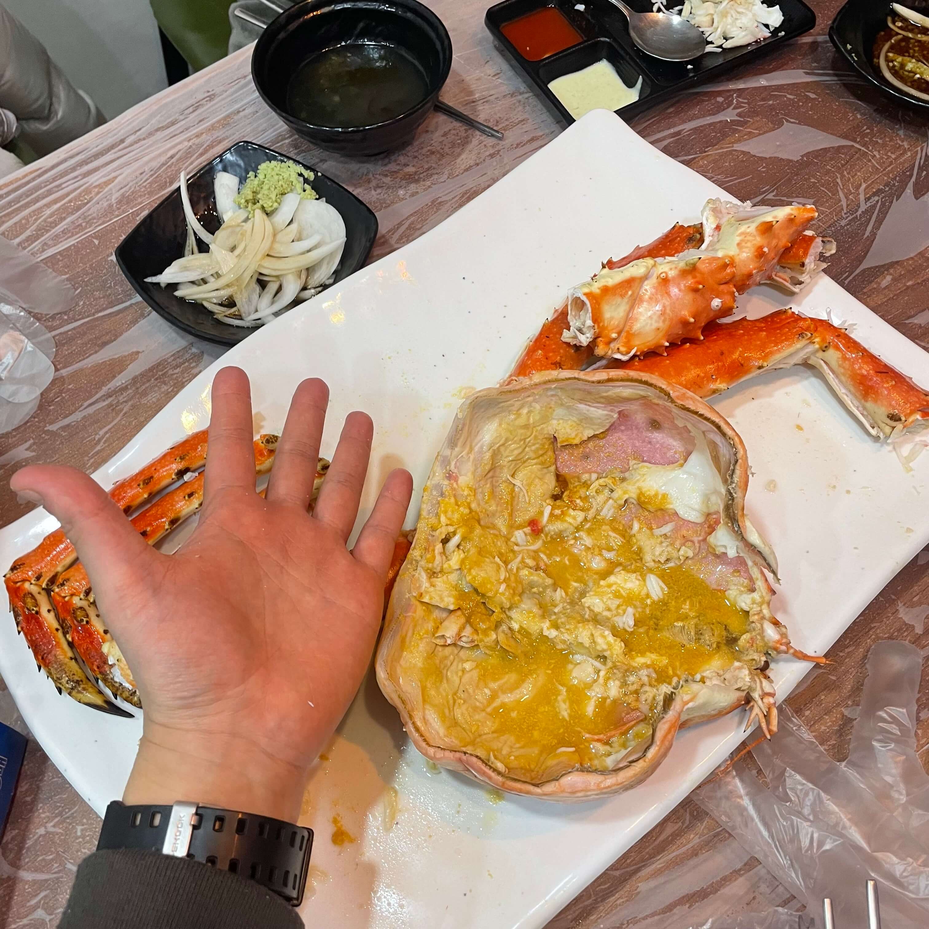 킹크랩 크기 비교 사진