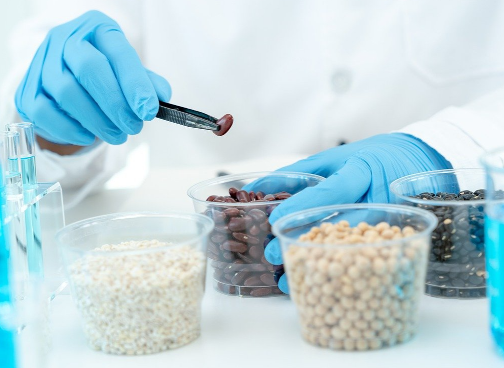 씨앗을 연구하는 실험실