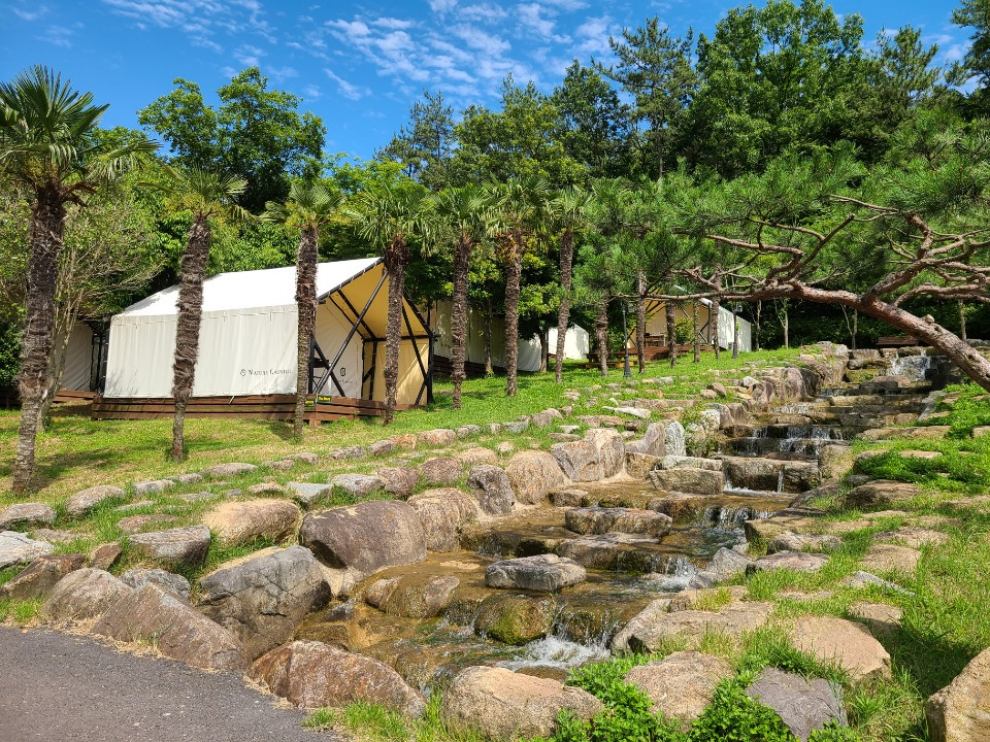 장흥 하늘빛수목원 튤립축제