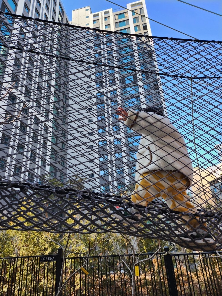 유치원 내부 놀이터