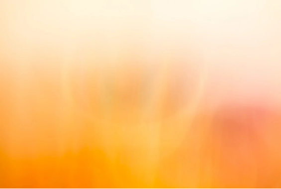 활기와 따뜻함의 색 주황색의 모든 것