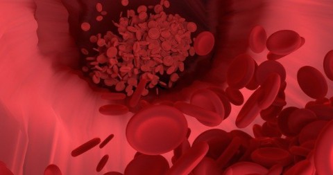 카무트 효능 부작용