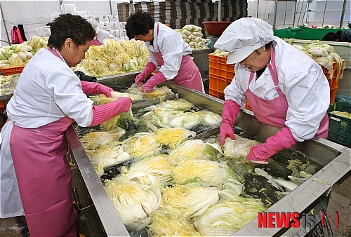 괴산 절임배추
