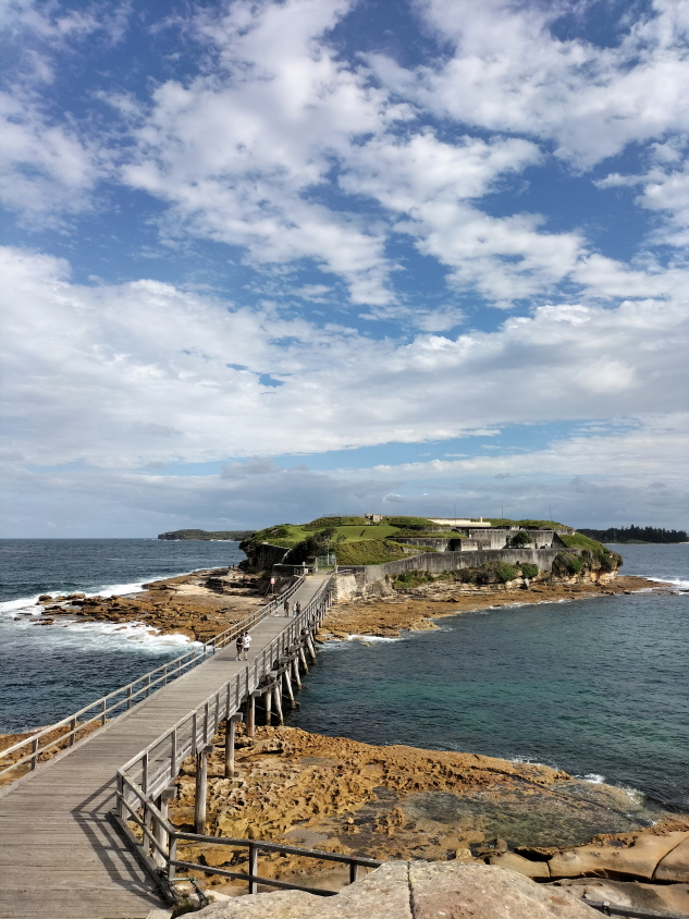 시드니 일몰 야경 인생샷