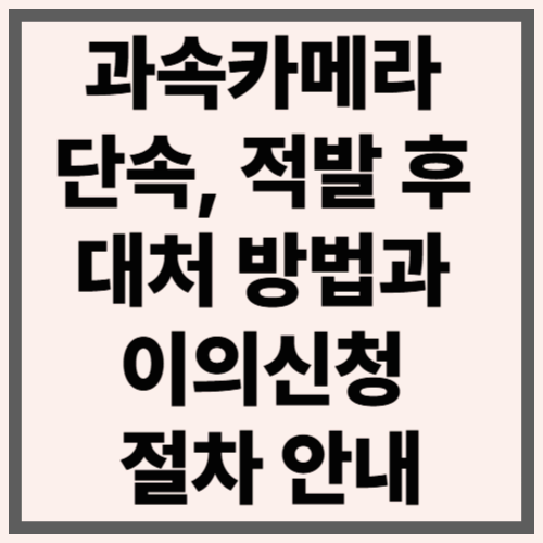 과속카메라 단속, 적발 후 대처 방법과 이의신청 절차 안내