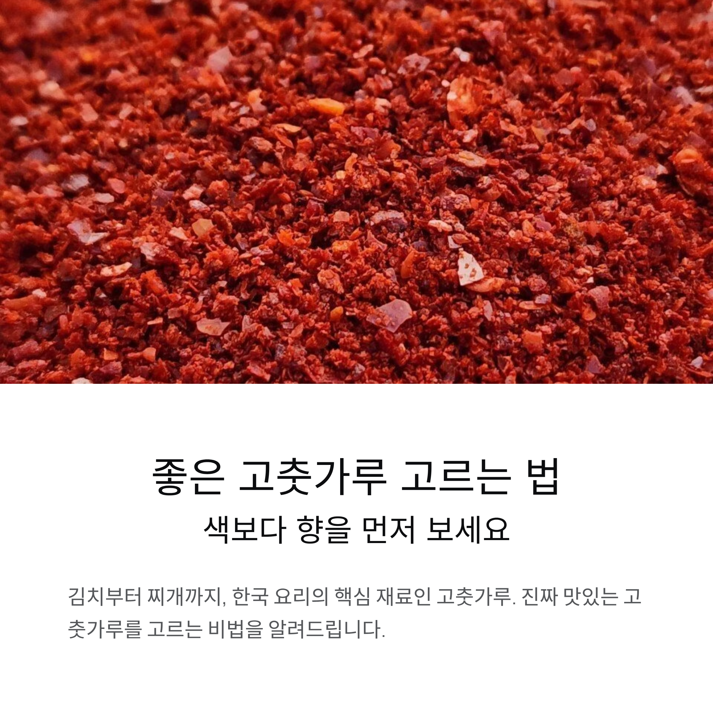 좋은 고춧가루 구매하는 법! 색보다 향을 먼저 보세요