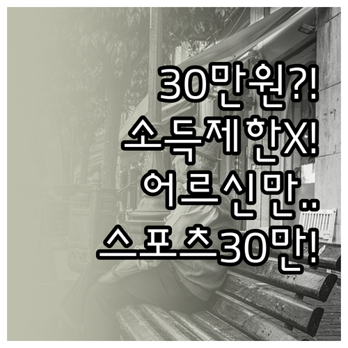 2026년 어르신 스포츠 상품권 소득..