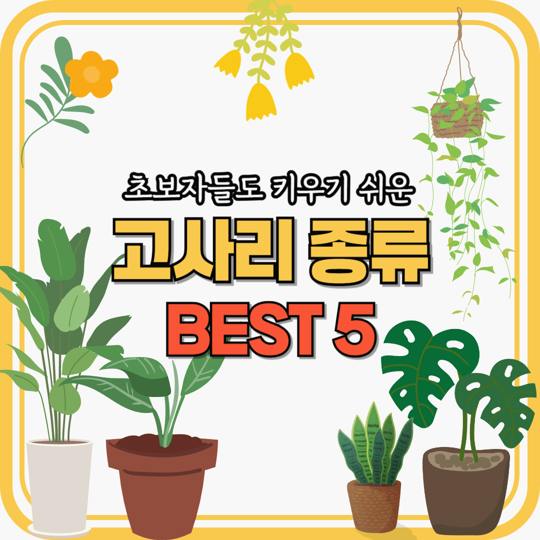 초보자 고사리 키우기