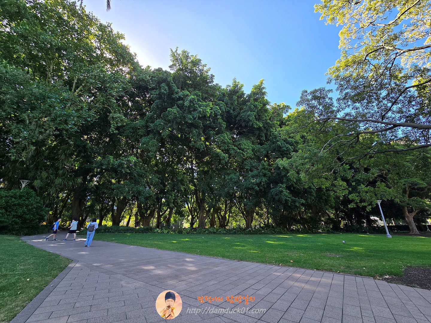 Cook + Phillip Park