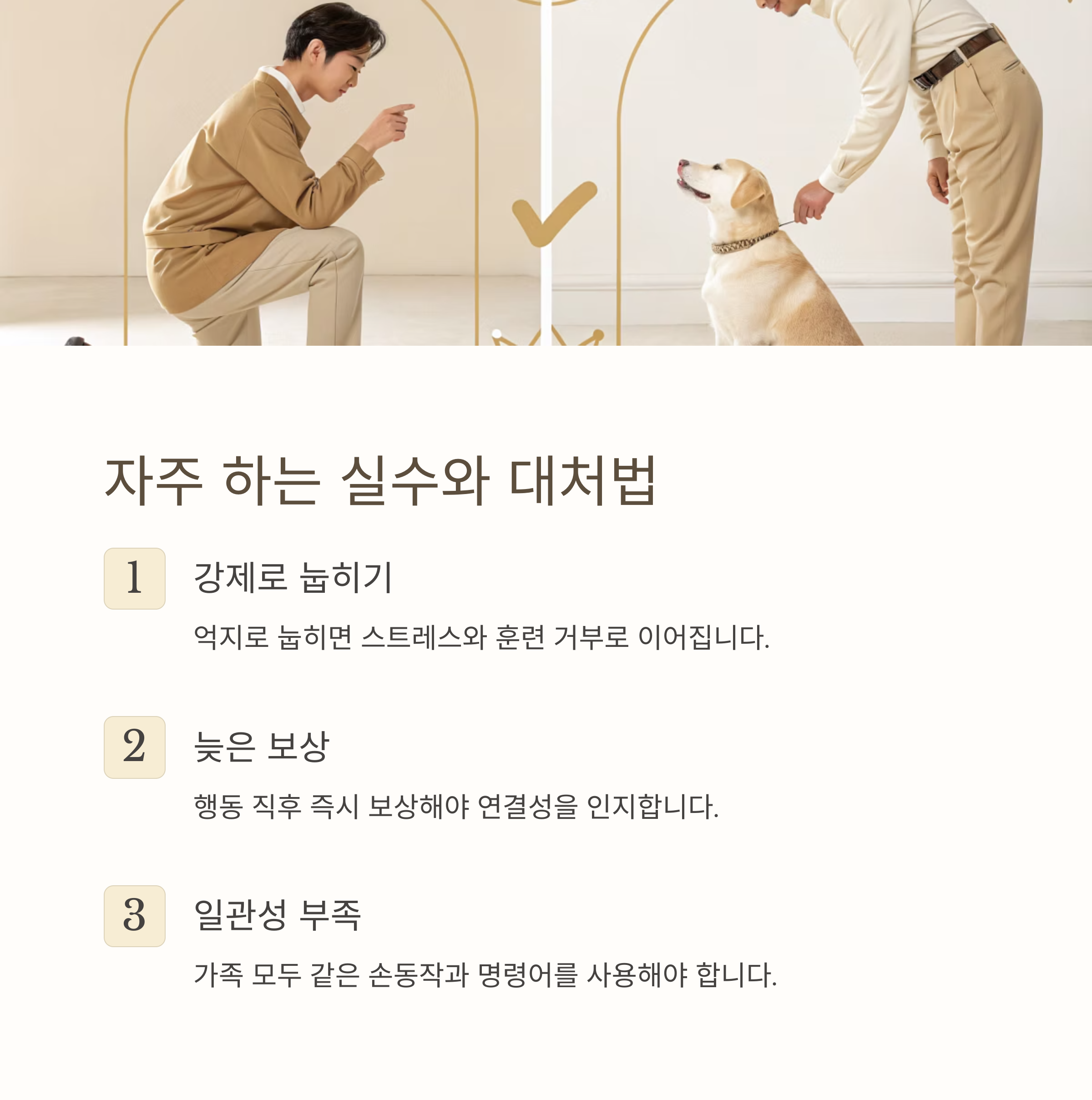 자주 하는 실수와 대처법