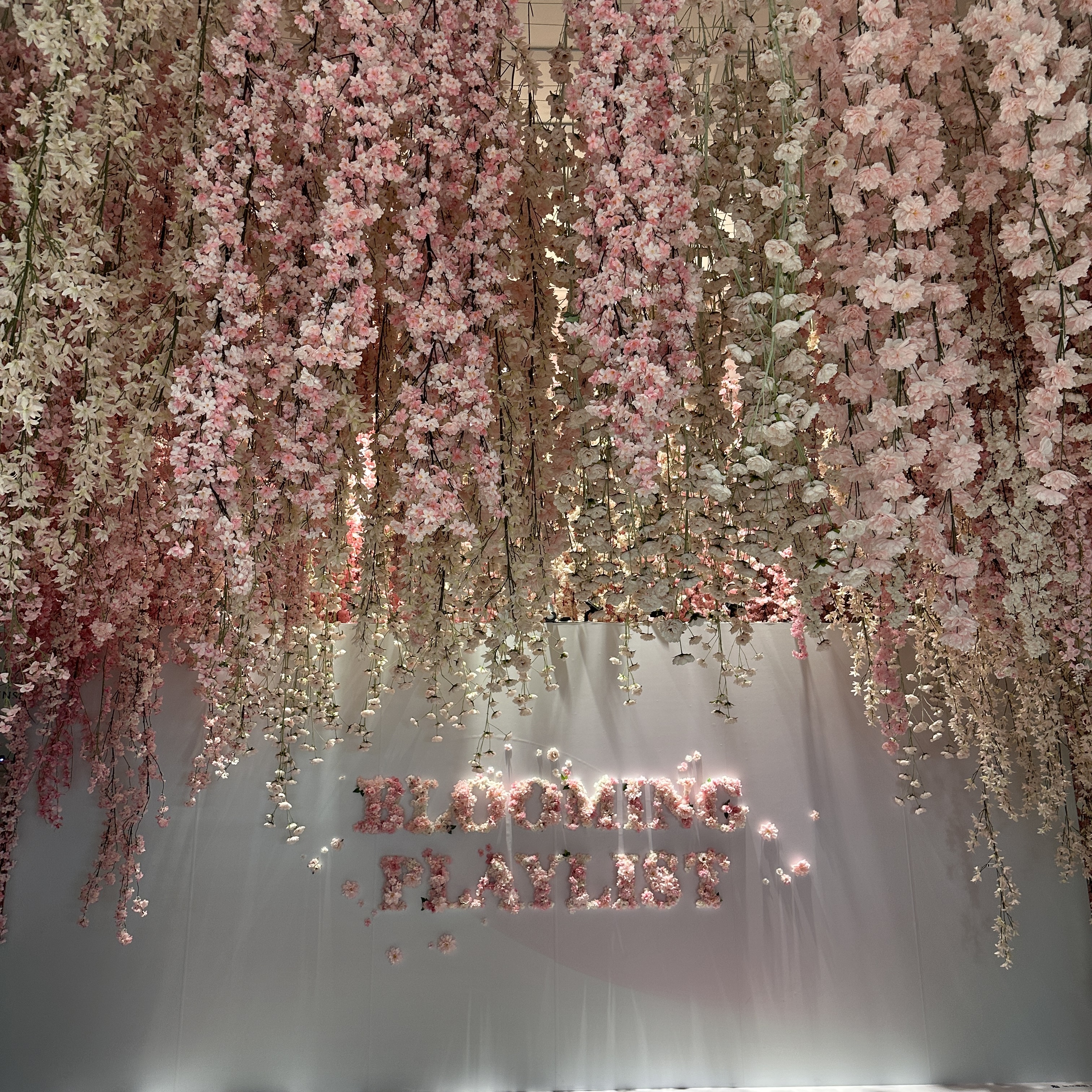 블루밍플레이리스트