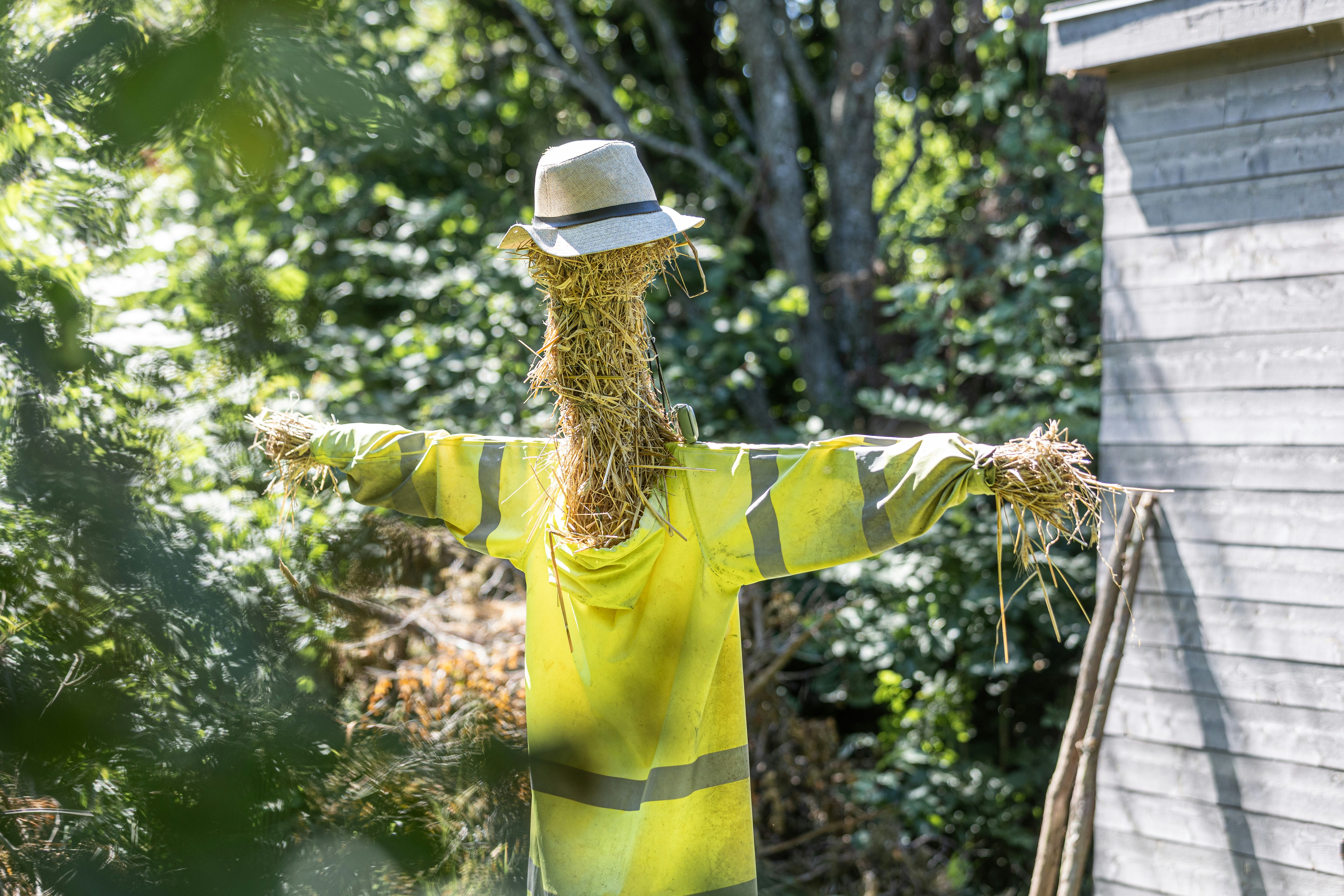 Straw man fallacy 는 무슨 뜻일까요? ❘ 허수아비 때리기 오류 완벽 정리