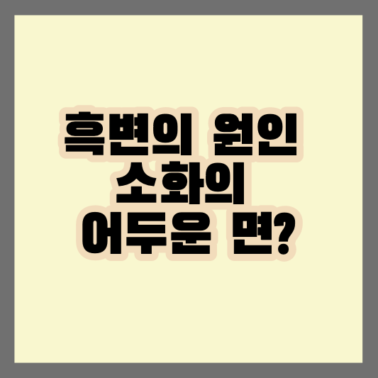 흑변의 원인 소화의 어두운 면?