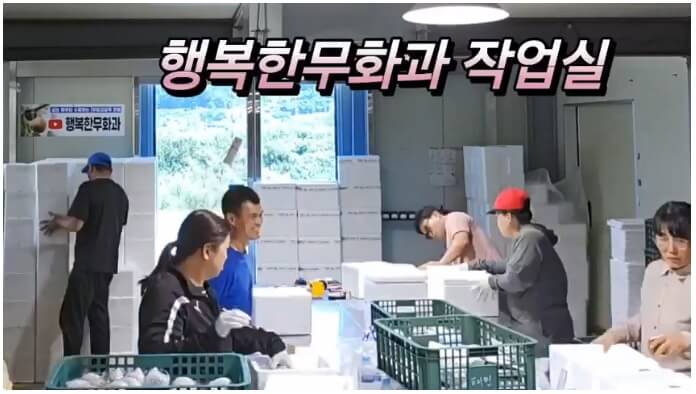 생생정보 2350회 수확의 달인 톡톡 터지는 매력 무화과 행복한 무화과 주문하기