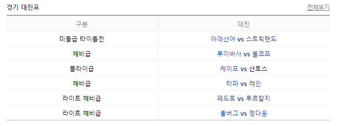 UFC293-대진표